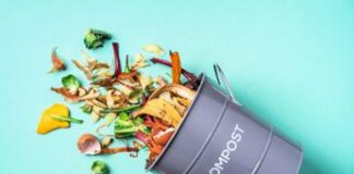 Economia circolare, Tersan Puglia è la prima B Corp in Ue nel settore del compostaggio