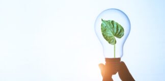 Energia: report, in ripresa le rinnovabili elettriche