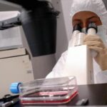 ‘Forbici molecolari’ per curare rara immunodeficienza, primi dati positivi