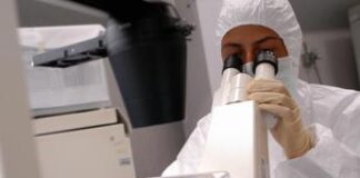 ‘Forbici molecolari’ per curare rara immunodeficienza, primi dati positivi