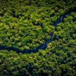 Foresta amazzonica a rischio entro il 2050