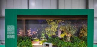 Grandi: “Myplant & Garden occasione confronto per valorizzazione paesaggio”