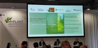 Grandi: “Verde urbano può essere salvifico”