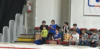 Basket B maschile, Civitus Allianz Vicenza trionfa 80-73 contro Lumezzane: al palasport dopo 15 anni torna presidente ex Minetti Vicenza per tifare biancorosso I piccoli ultras della Civitus Allianz Vicenza nella partita col Lumezzane