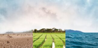 I tre disastri climatici più pericolosi per la salute globale