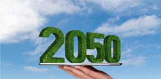 Il patto di stabilità ostacola la transizione verde, il rapporto dei Verdi