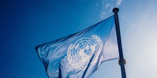 La natura torna alla ribalta, l’ONU premia sette iniziative virtuose