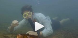 L’anaconda da record, ecco il serpente più grande del mondo – Video