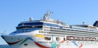 Codici: allarme colera per una crociera alle Mauritius, bisogna tutelare diritti e salute dei passeggeri Mauritius, allarme colera su nave norvegese da crociera: cosa è successo