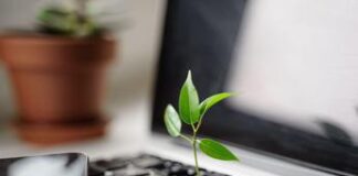 Monetizzare la biodiversità, le banche assumono figure senior Esg