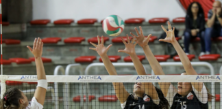 Volley serie B1 femminile, Vicenza Volley riprende la corsa verso i play off: sfida cruciale a Chioggia contro la Vlc Rom Plastica Un momento del match d'andata tra Vicenza Volley e Vlc Rom Plastica (nella foto di Daniele Marangoni)