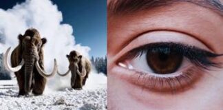 OpenAI svela Sora: la nuova frontiera dei video generati da IA