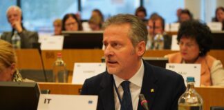 Vandali uccidono api all’ex istituto Baronio di Vicenza, lo sdegno della città e della politica. Ciambetti: “Trovate i responsabili” Api uccise da vandali a Vicenza