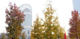 Smog fuori controllo, ma l’Onu premia Biblioteca degli Alberi Milano per la sostenibilità