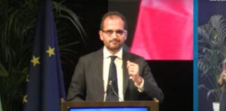 Sud, Gemmato: “Dal Governo impulso a rilancio con Zes unica Mezzogiorno”