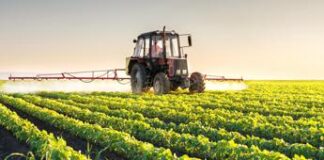 Syngenta Italia, nuovo video istituzionale sulla storia di innovazione al fianco degli agricoltori italiani