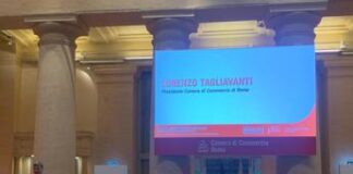 Tagliavanti (Camera di Commercio di Roma): “L’Ai Act va monitorato, ma orgogliosi per primo provvedimento in Ue”