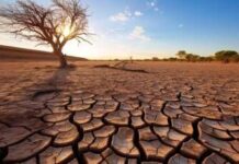 Siccità in Veneto, proposta di legge da Corazzari per una rete di micro-invasi contro il cambiamento climatico siccità