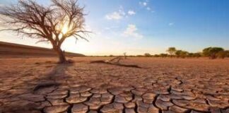 Temperature oltre la media, siccità ed eventi estremi: allarme clima in Europa