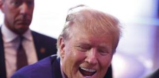 Trump e le parole su Nato e Russia: la reazione di Usa, Ue e Italia