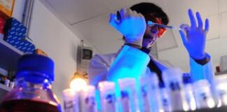 Tumori, cresce l’impatto nel mondo: cancro al polmone resta ‘big killer’