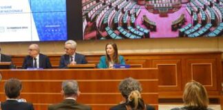 Vitiligine, Leonardi (Fdi): “Manifesto essenziale per presa in carico pazienti”