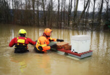 Maltempo: disastro per l’apicoltura vicentina, l’Associazione Regionale Apicoltori del Veneto chiede lo stato di emergenza Maltempo: un disastro per l'apicoltura vicentina