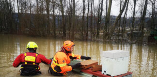 Maltempo: disastro per l’apicoltura vicentina, l’Associazione Regionale Apicoltori del Veneto chiede lo stato di emergenza Maltempo: un disastro per l'apicoltura vicentina