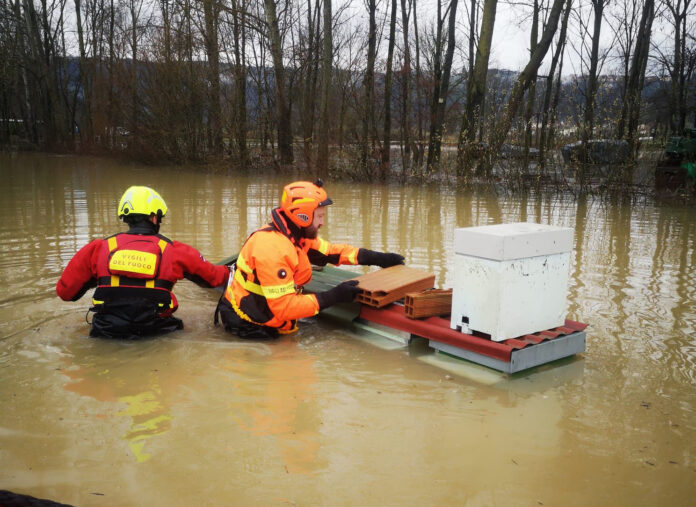 Maltempo: un disastro per l'apicoltura vicentina