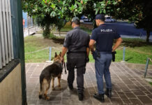 Vicenza, controlli congiunti in discoteca e sulle strade: un arrestato e due denunce unità cinofile controlli Questura Vicenza interforze