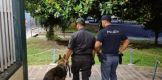 Operazione interforze della Questura di Vicenza. Controllate le zone a rischio, fermati due irregolari unità cinofile controlli Questura Vicenza interforze