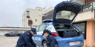 Colpito da infarto, autista di Tir salvato dagli agenti di Polizia di Bassano. Plauso di Zaia Grazie al defibrillatore gli agenti della Polizia di Stato di Bassano hanno salvato un camionista colpito da infarto