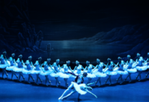 Successo per il Lago dei Cigni. Ma è il pubblico a “dare spettacolo”… Il Lago dei Cigni in scena al Teatro Comunale di Vicenza