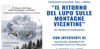 “Il ritorno del lupo sulle montagne vicentine”