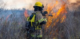 Incendi boschivi: la Protezione Civile del Veneto dichiara lo stato di grave pericolosità anche in provincia di Vicenza Incendi boschivi, allarme pc veneto nel Vicentino