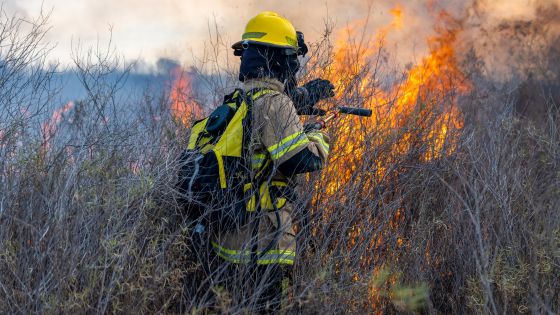 Incendi boschivi, a Vicenza c’è il catasto comunale