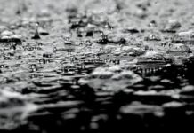 Maltempo a Vicenza, Legambiente: “L’emergenza è passata, ma il meno è fatto” maltempo e bacino di laminazione