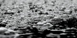 Maltempo a Vicenza, Legambiente: “L’emergenza è passata, ma il meno è fatto” maltempo e bacino di laminazione