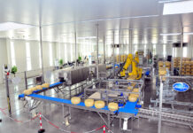 Il Caseifico vicentino che assume i 60enni. Su Il Sole 24 Ore la storia di Brazzale, con sede a Zané caseificio brazzale