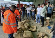 Anche tanti giovani volontari dopo l’alluvione a Vicenza, gli “angeli della sabbia” hanno contribuito a riempirne 8.000 sacchi Durante l'alluvione, un centinaio di volontari hanno contribuito alla produzione di sacchi di sabbia per arginare l' acqua.