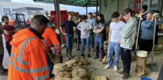 Anche tanti giovani volontari dopo l’alluvione a Vicenza, gli “angeli della sabbia” hanno contribuito a riempirne 8.000 sacchi Durante l'alluvione, un centinaio di volontari hanno contribuito alla produzione di sacchi di sabbia per arginare l' acqua.