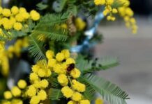 Donne che amano troppo: quando l’amore diventa sofferenza. Come riconoscere le dipendenze affettive 8 marzo, riflessioni sulle donne che amano troppo