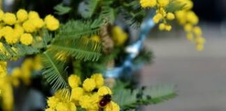 Donne che amano troppo: quando l’amore diventa sofferenza. Come riconoscere le dipendenze affettive 8 marzo, riflessioni sulle donne che amano troppo