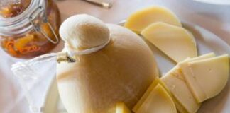 A Cremona ‘Formaggi & Sorrisi’ per conoscere e degustare i migliori formaggi d’Italia