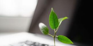 Assicurazione sui report di sostenibilità: una sfida alla trasparenza