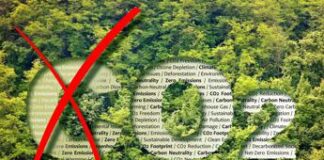 CarpeCarbon, perché il progetto italiano per catturare la CO2 è diverso da tutti gli altri