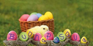 Un pulcino che augura Buona Pasqua: un’idea di Poste Italiane per collezionisti e per chi preferisce mandare gli auguri col vecchio sistema La cartolina augurale di Pasqua proposta da Poste Italiane