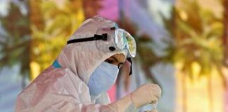 Covid, memoria immunitaria scudo contro nuove varianti: lo studio italiano