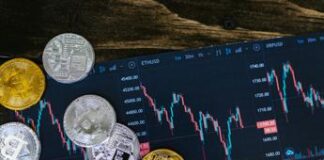 Criptovalute e token: le differenze e cosa ne pensano gli italiani