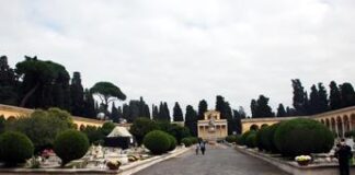 Dengue, cacciatore di zanzare: “Cimitero luogo più a rischio, tombini ricettacolo”